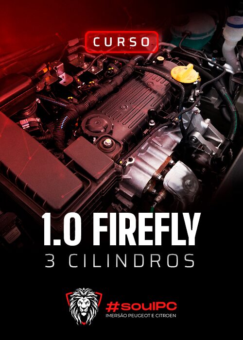 1.0 Firefly 3 cilindros